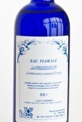 Gingembre frais Bio - 200ml, 1000ml